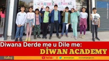 Diwana Derde me u Dile me: Diwan Academy